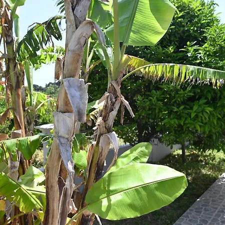 Amaya House Near The Holiday home
